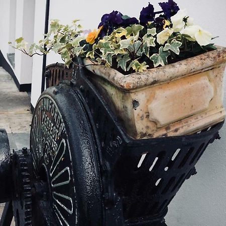 Cartron House Bed & Breakfast Ballinakill  ภายนอก รูปภาพ