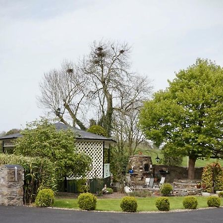 Cartron House Bed & Breakfast Ballinakill  ภายนอก รูปภาพ