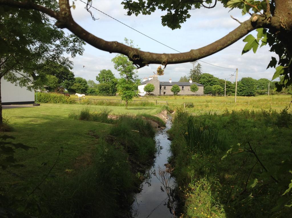 Cartron House Bed & Breakfast Ballinakill  ภายนอก รูปภาพ
