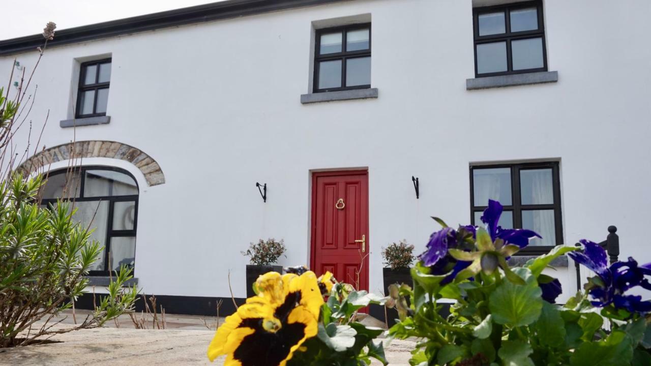 Cartron House Bed & Breakfast Ballinakill  ภายนอก รูปภาพ