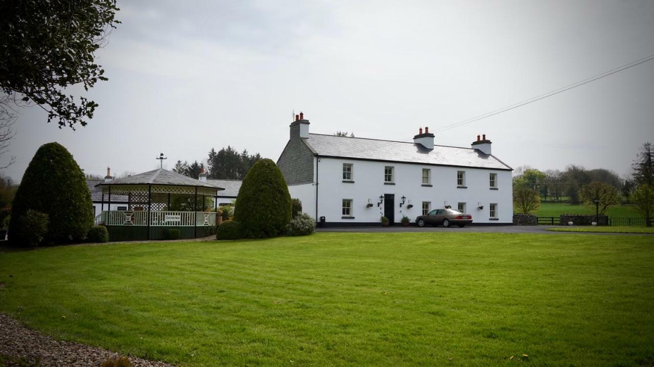 Cartron House Bed & Breakfast Ballinakill  ภายนอก รูปภาพ
